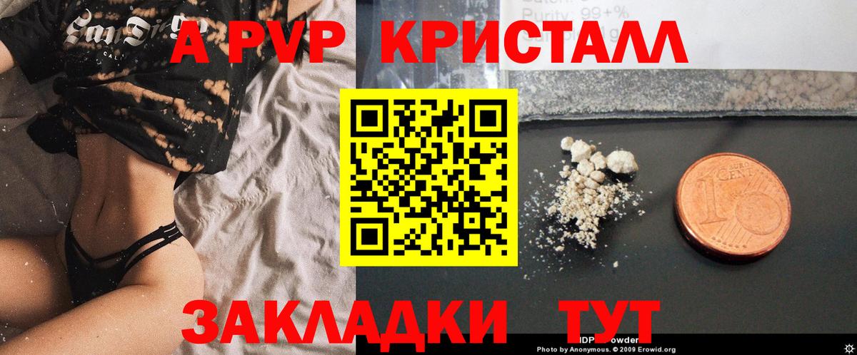 APVP СК КРИС Аша