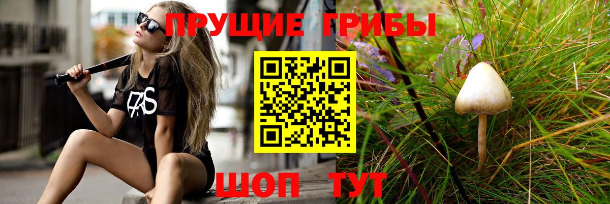 Галлюциногенные грибы Psilocybe Аша